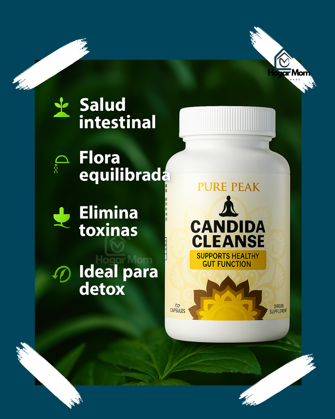 CANDIDA CLEANSE - Tu aliado natural 🌱para un intestino más ligero ✨