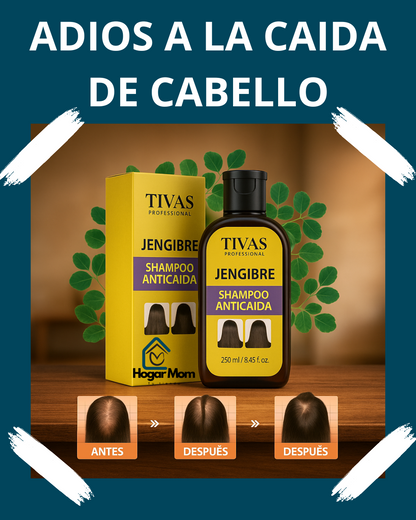 ✨ Shampoo Anticaída de Jengibre – Disaar™ ✨