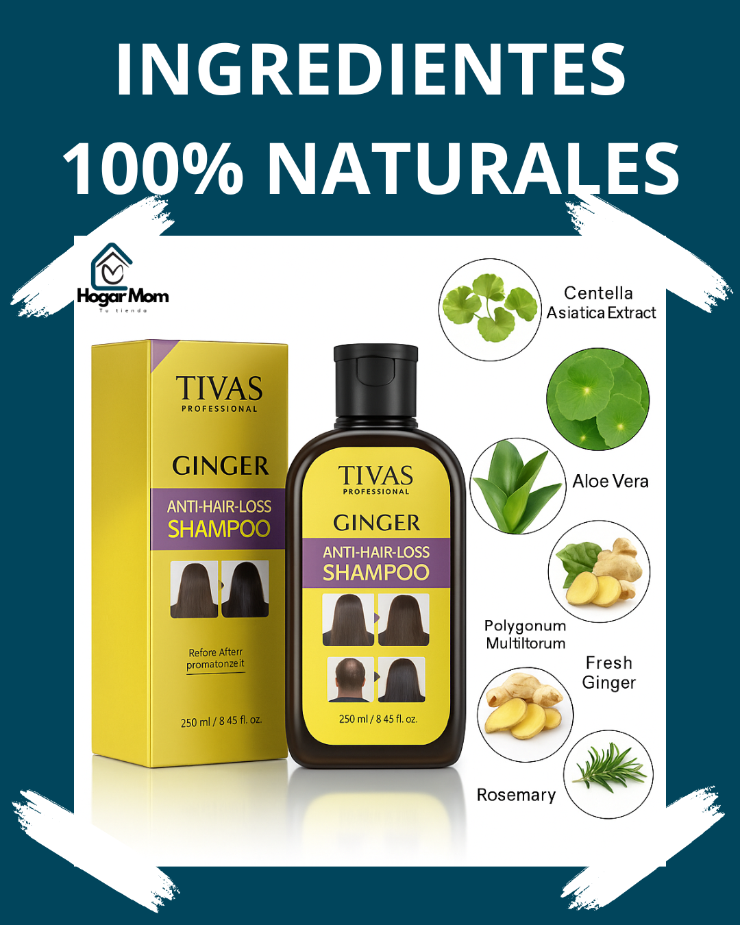 ✨ Shampoo Anticaída de Jengibre – Disaar™ ✨