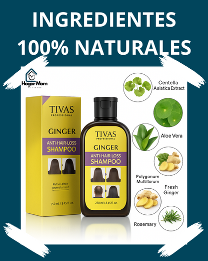 ✨ Shampoo Anticaída de Jengibre – Disaar™ ✨